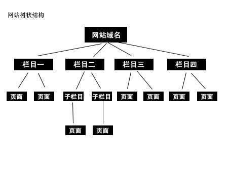 電商三巨頭的2021成績單下沉與上行之間犬牙交錯_天線貓SEO